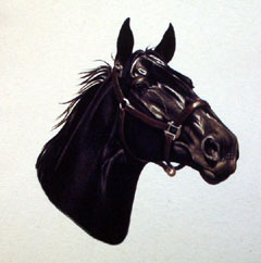 Black Mare Tshirt